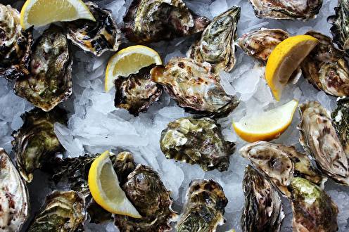 Dan & Louis Oyster Bar